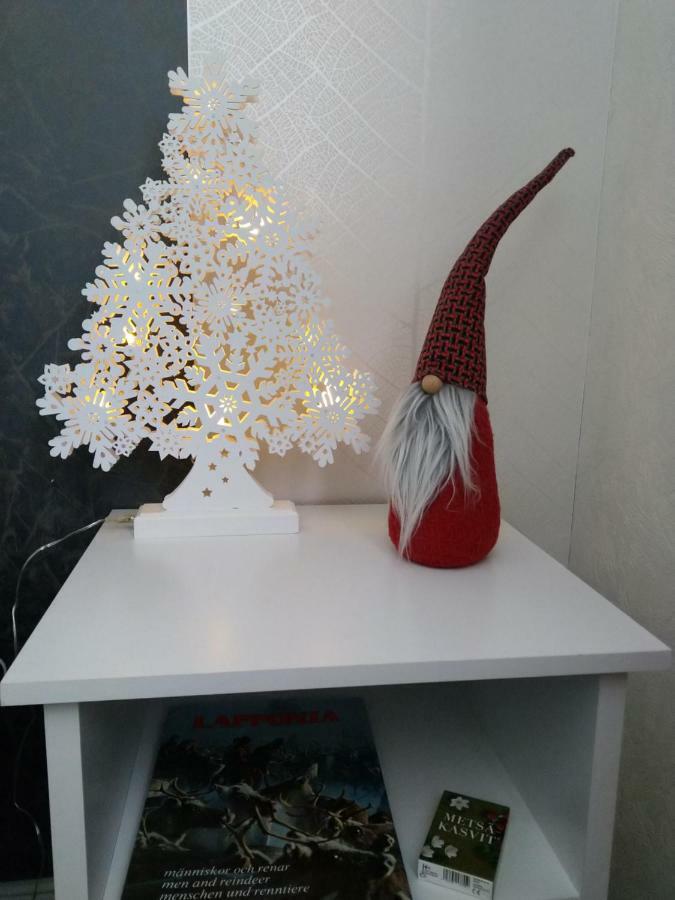 Apartment Neitamo44 イバロ エクステリア 写真